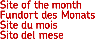 Logo Fundort des Monats